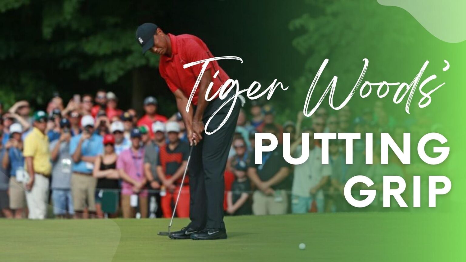 Tiger Woods